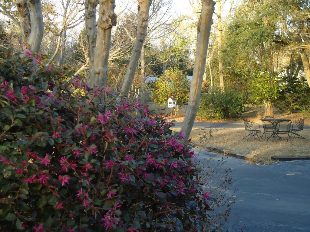 Bed and Breakfast Edenfield House Swainsboro Exterior foto