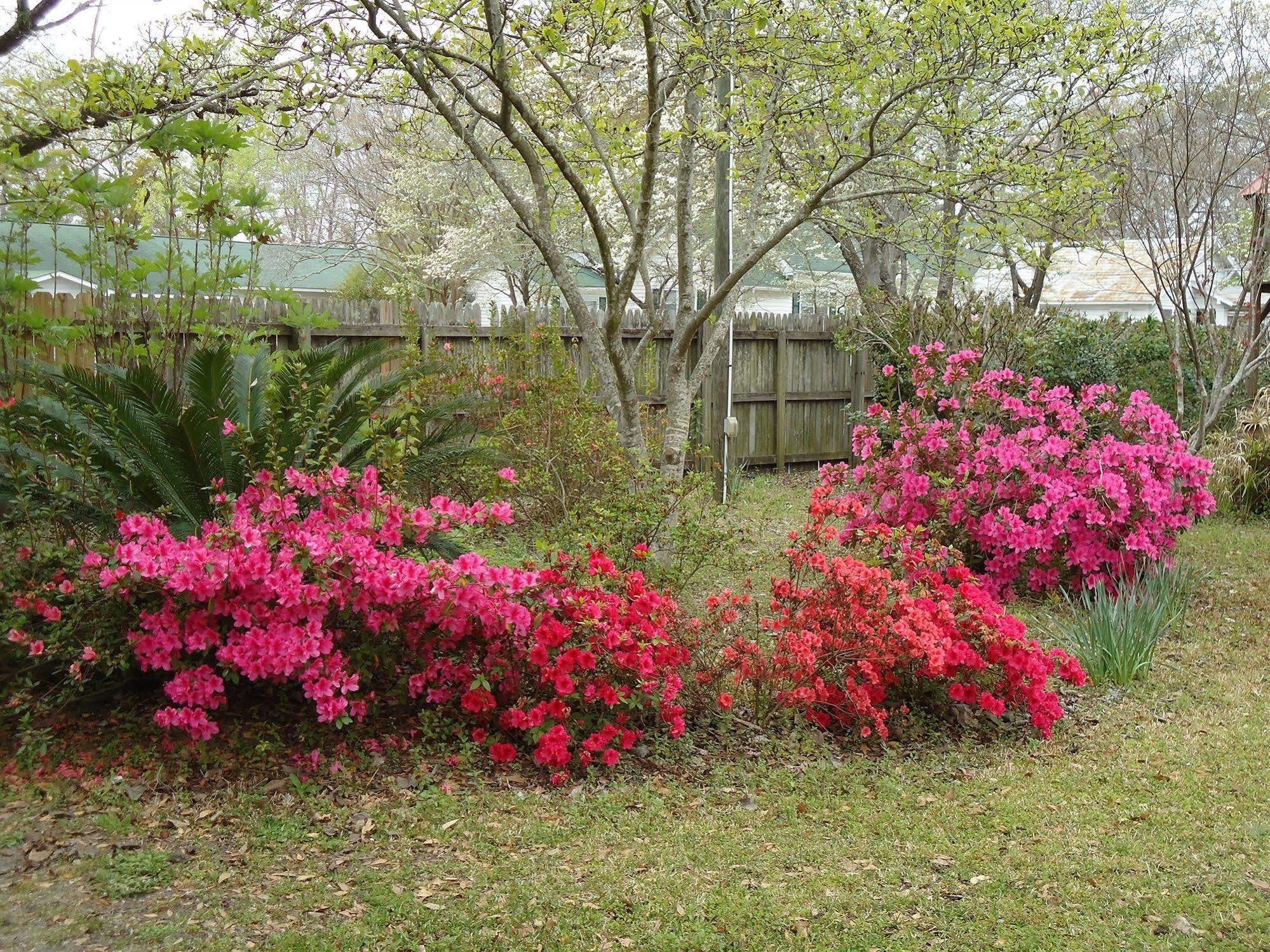Bed and Breakfast Edenfield House Swainsboro Exterior foto